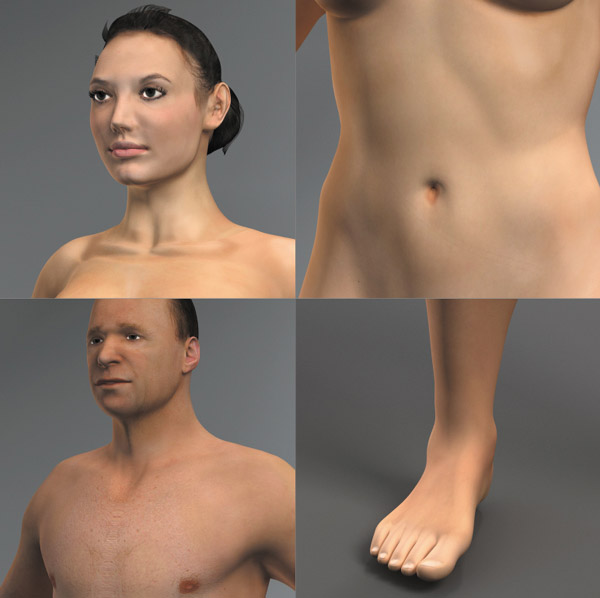 Human Female Anatomy