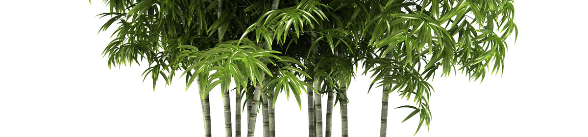 DOSCH 3D Bamboo Plants