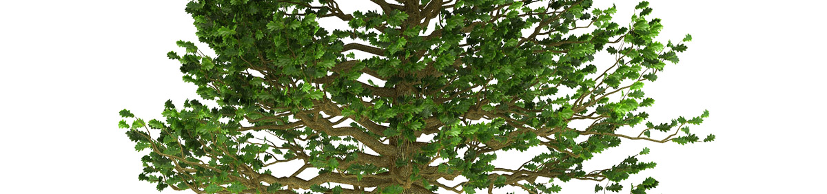 DOSCH 3D Tree Library for 3dsmax