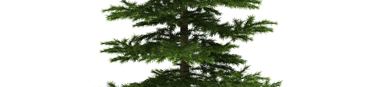 DOSCH 3D Tree Library for Artlantis